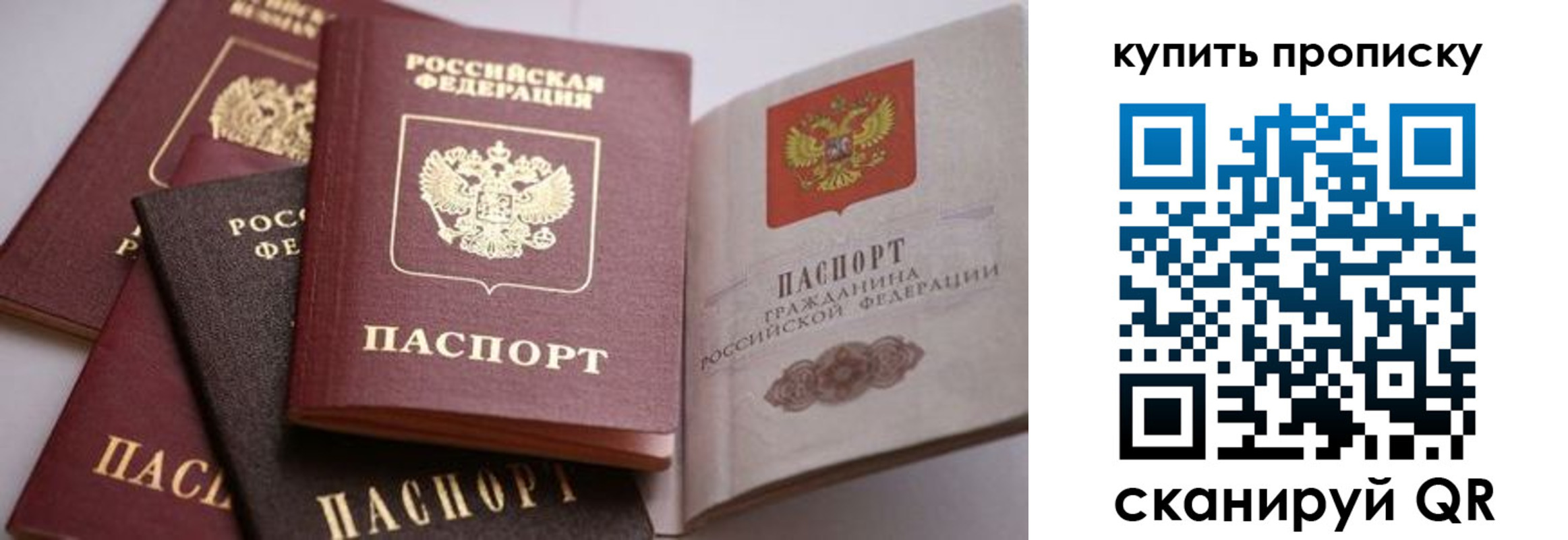 прописка для школы в Новошахтинске
