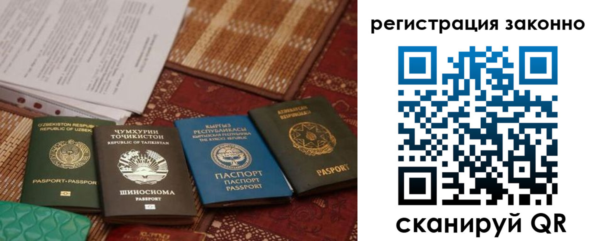 прописка в квартире в Новошахтинске